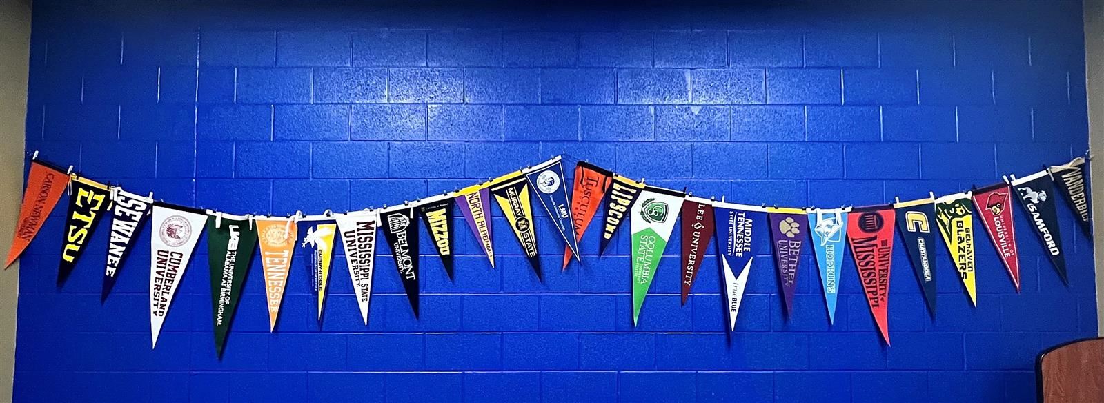 Counseling Flags